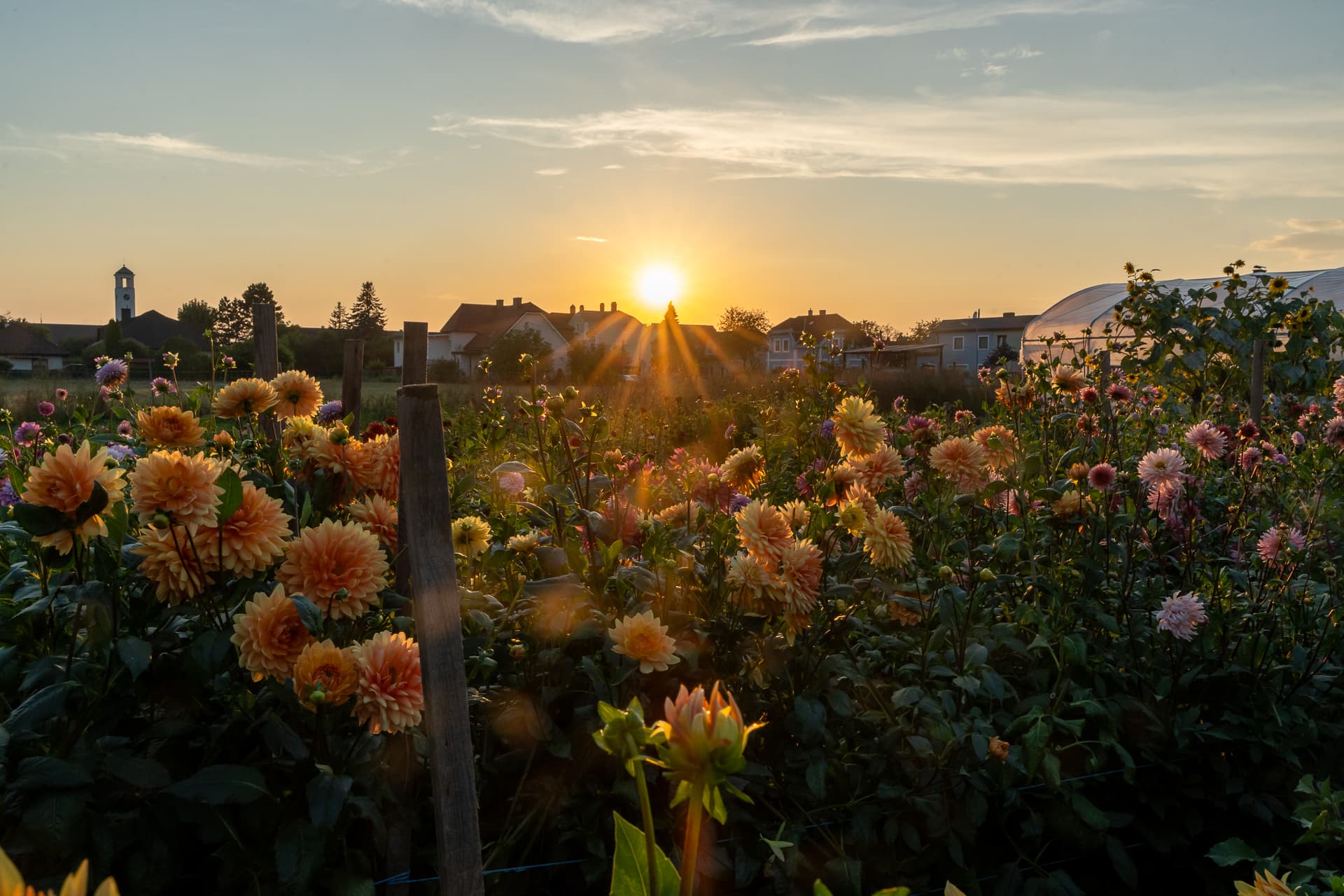 Saisonaler Blumenbund auf Holztisch